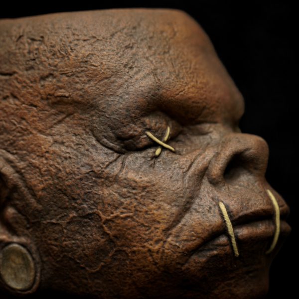 SHRUNKEN ED - Image 9