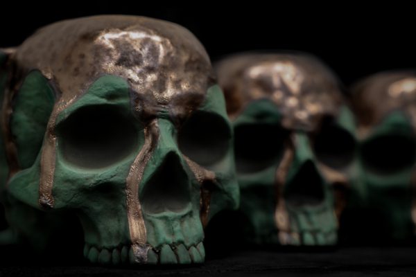 2023 LUCKY SKULL - Image 5