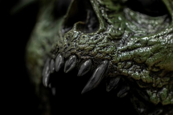 XENO GREG - Image 9