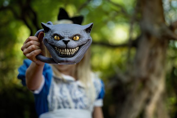 CHESHIRE CAT - Image 9