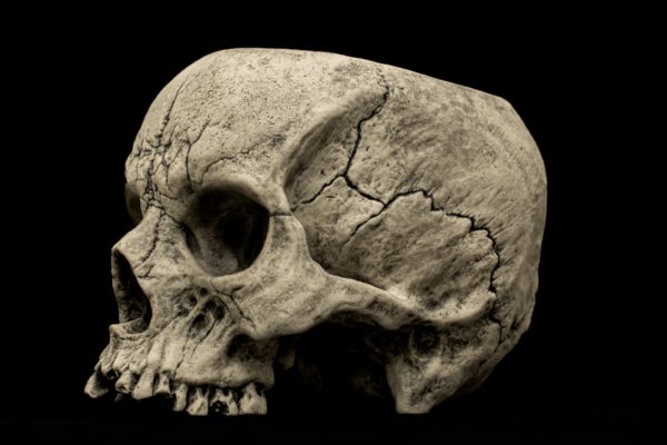 SKULL TEACUP - Image 13