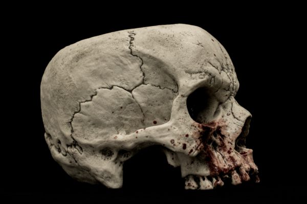 SKULL SIPPER - Image 12