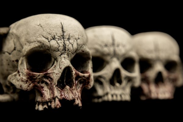 SKULL TEACUP - Image 14
