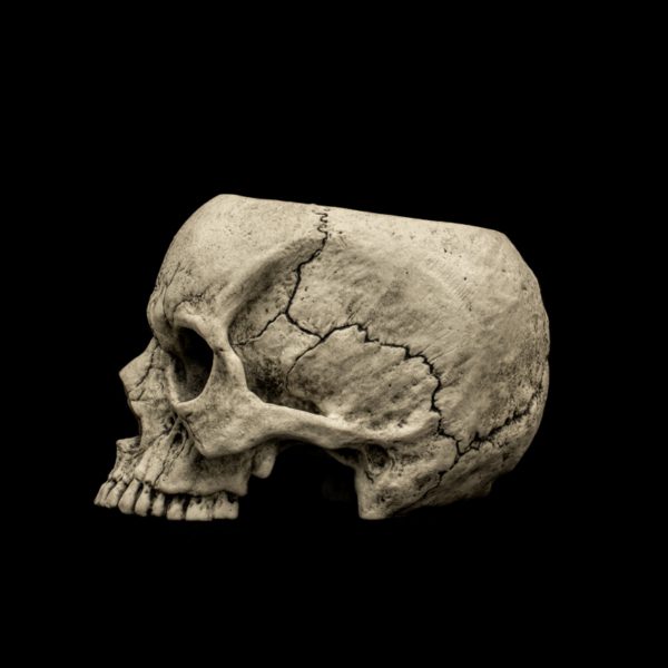 SKULL TEACUP - Image 7