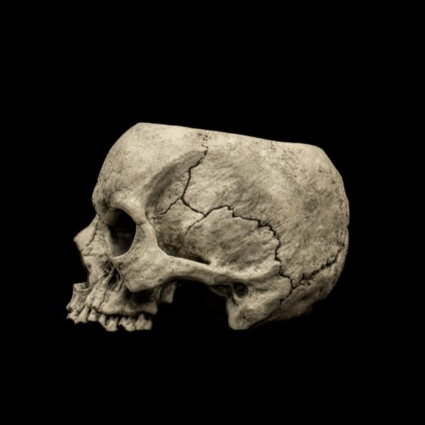 SKULL TEACUP - Image 8
