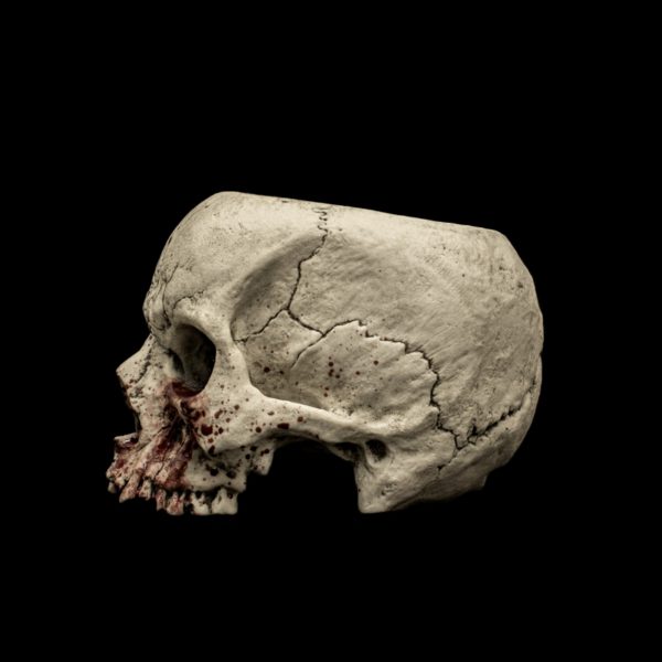 SKULL TEACUP - Image 10