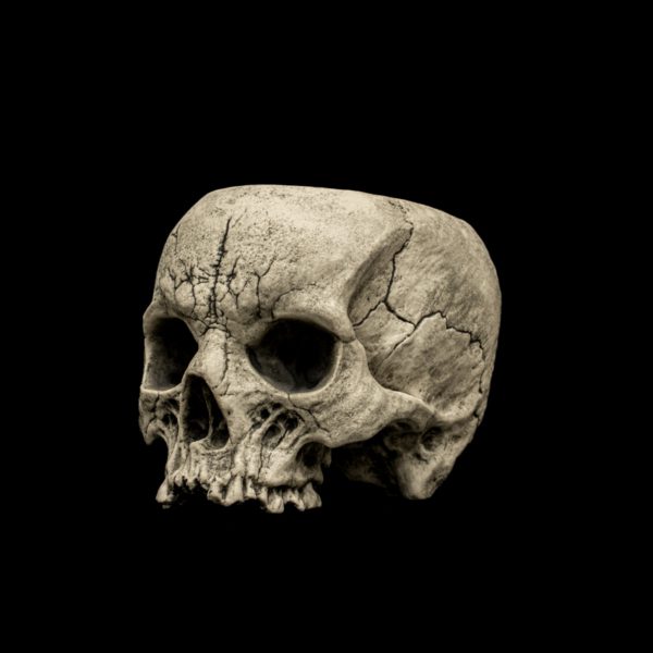 SKULL SIPPER - Image 4