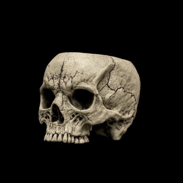 SKULL SIPPER - Image 3
