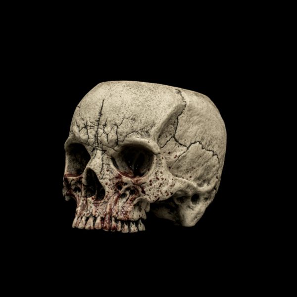 SKULL SIPPER - Image 5