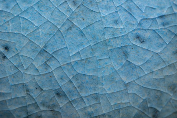 ICY ED - Image 8