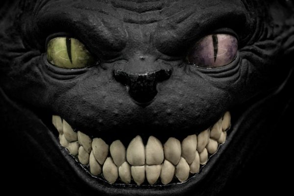 HETEROCHROMIA CHESHIRE PROTO - Image 2