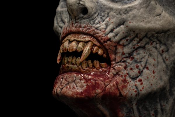VAMPYR NED - Image 15