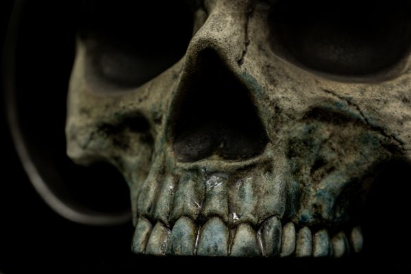 2019 WARBOY SKULL PROTOTYPE - Image 2