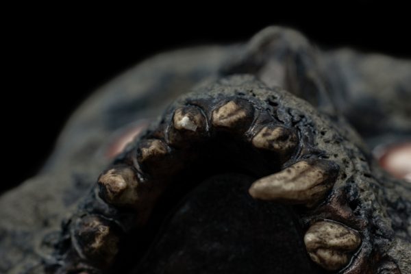 2022 CHARRED GREG PROTO - Image 3