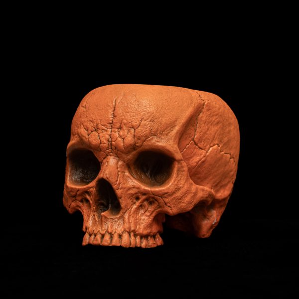 HALLOWEEN SKULL SIPPER - Image 4