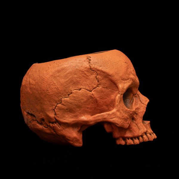 HALLOWEEN SKULL SIPPER - Image 6