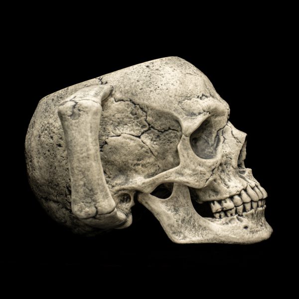 SKULL - Image 11