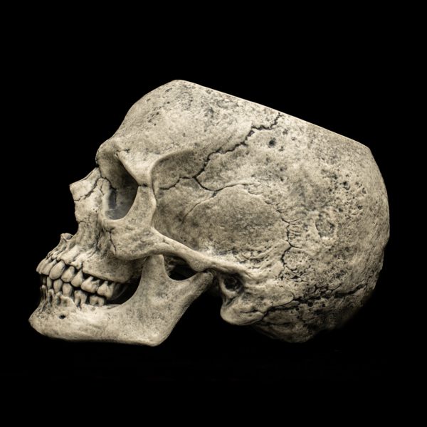 SKULL - Image 9