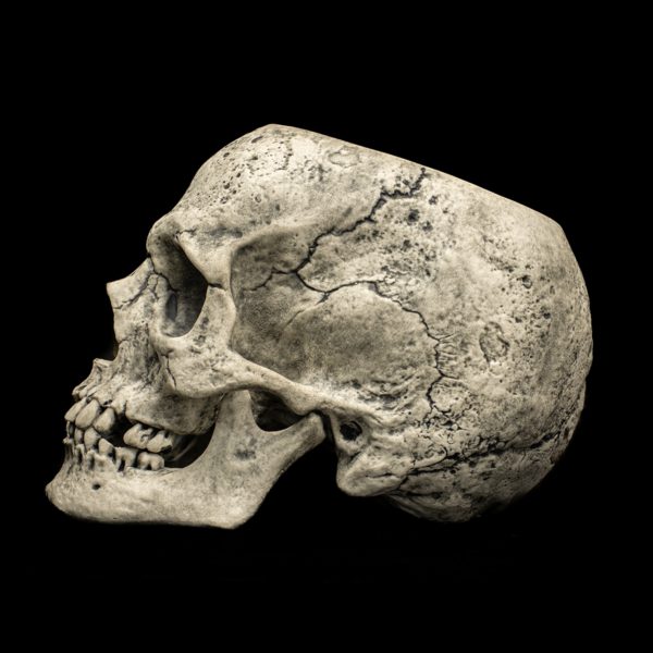 SKULL - Image 10