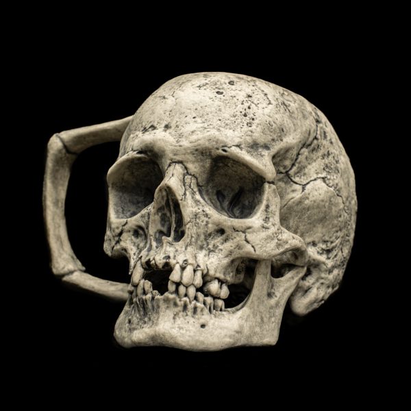 SKULL - Image 2