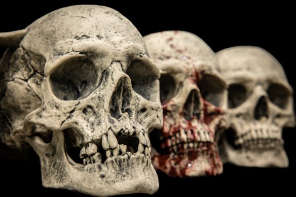 SKULL - Image 14