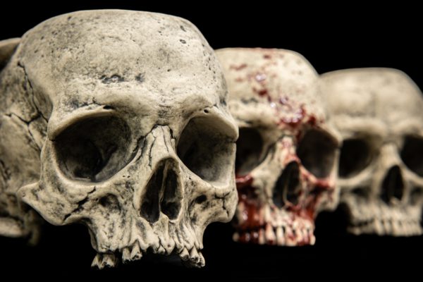 HALF SKULL - Image 14