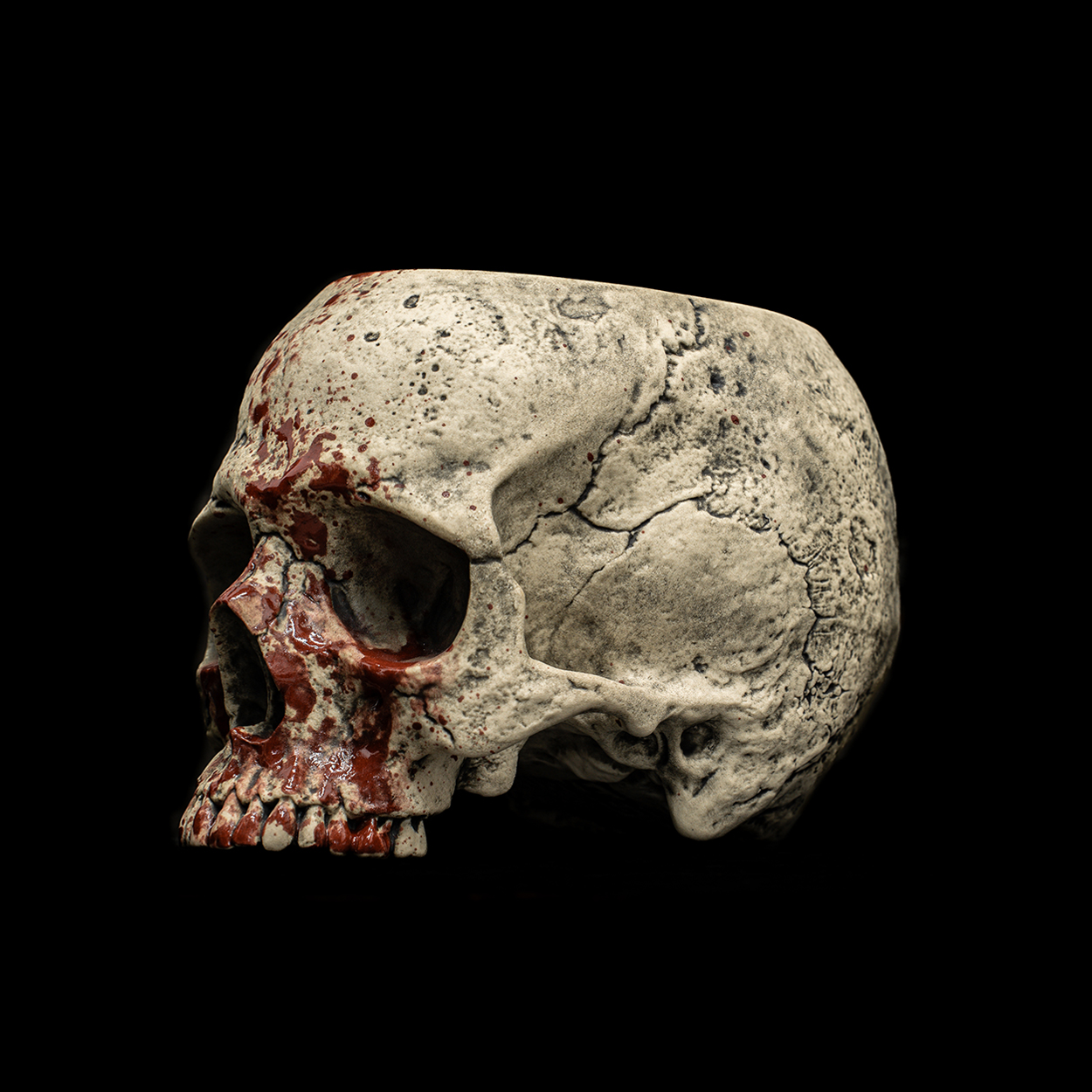 MISFIT HALF SKULL - Image 9