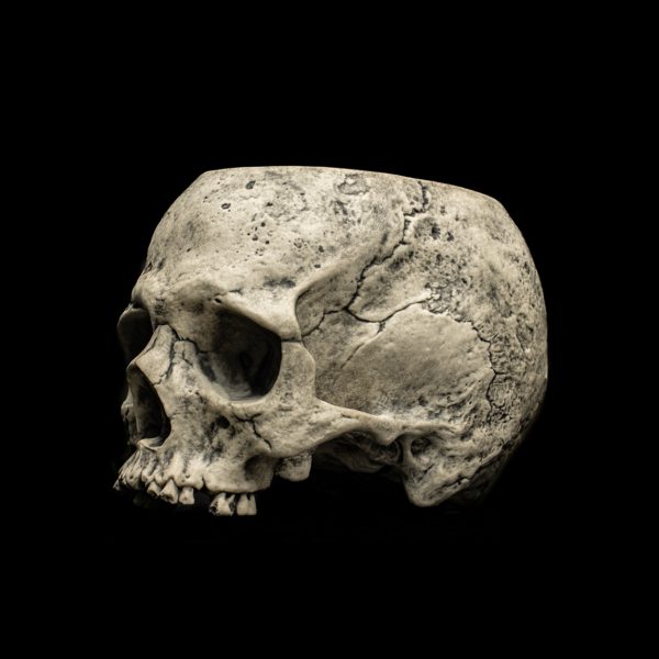 HALF SKULL - Image 10