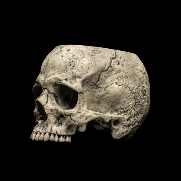 HALF SKULL - Image 9