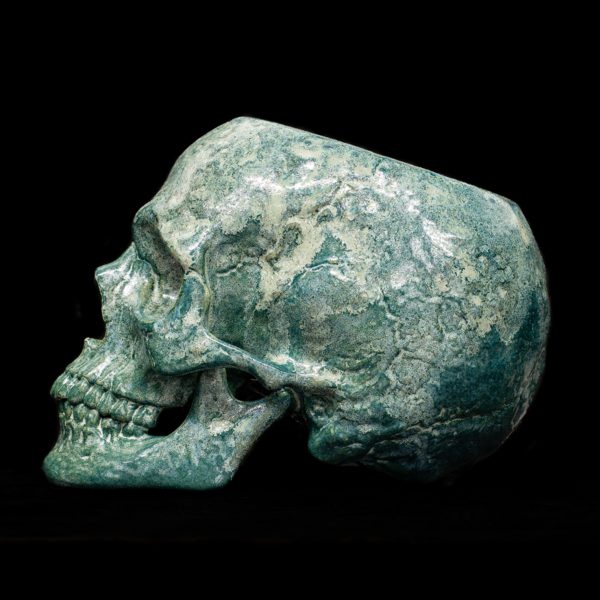 LICHEN SKULL - Image 5