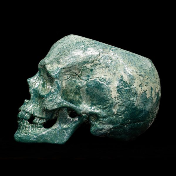 LICHEN SKULL - Image 6