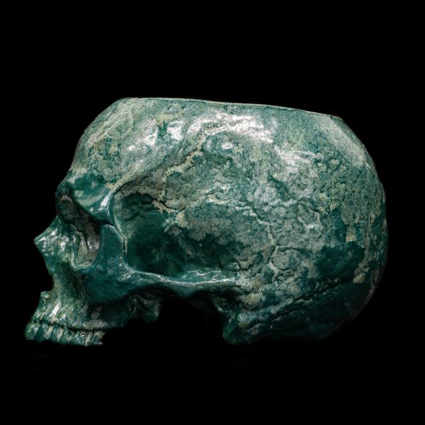 LICHEN HALF SKULL BOWL - Image 6