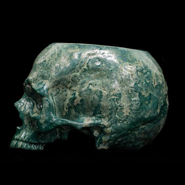 LICHEN HALF SKULL - Image 3