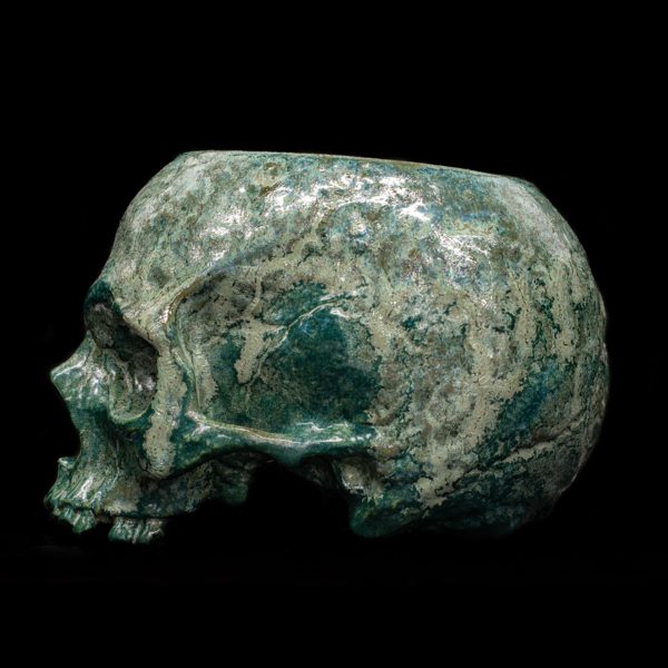 LICHEN HALF SKULL - Image 4
