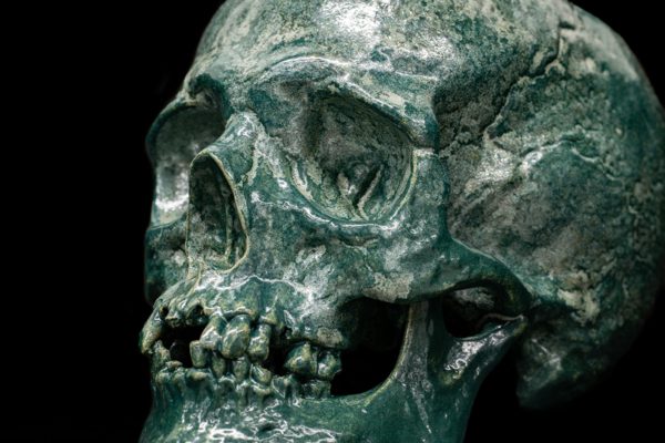 LICHEN SKULL - Image 7