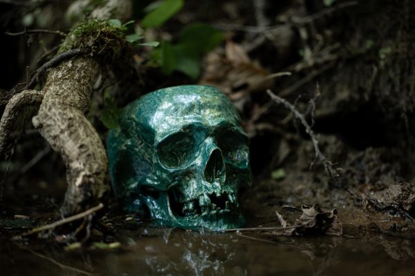 LICHEN SKULL - Image 9