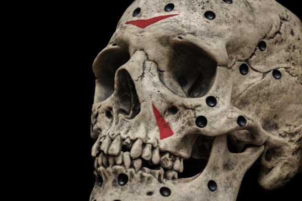 F13 SKULL - Image 6