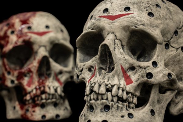 F13 SKULL - Image 5