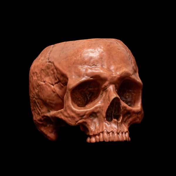 HALLOWEEN HALF SKULL BOWL - Image 5