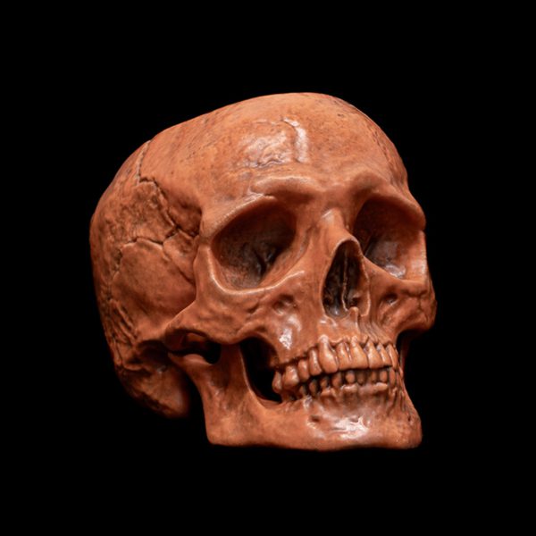 HALLOWEEN SKULL BOWL - Image 5