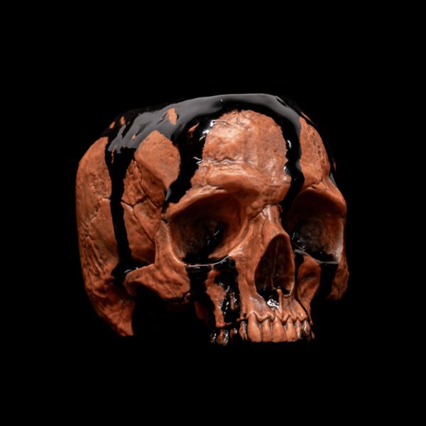 HALLOWEEN HALF SKULL BOWL - Image 8