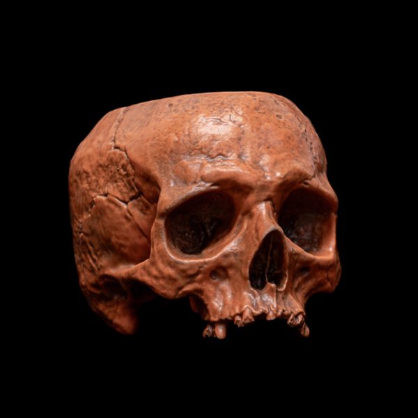 HALLOWEEN HALF SKULL BOWL - Image 7