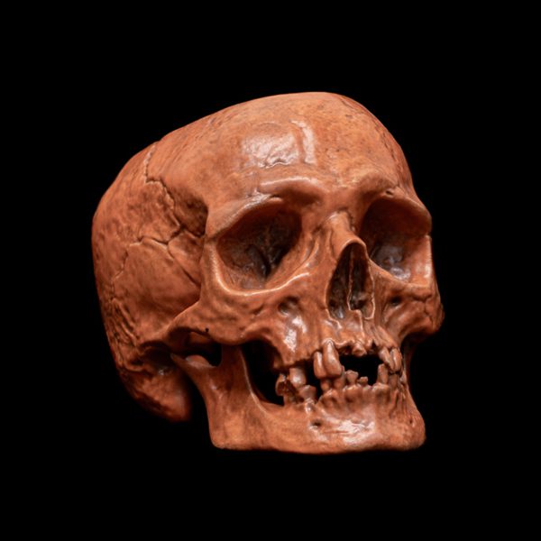 HALLOWEEN SKULL BOWL - Image 7