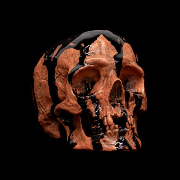 HALLOWEEN SKULL BOWL - Image 8