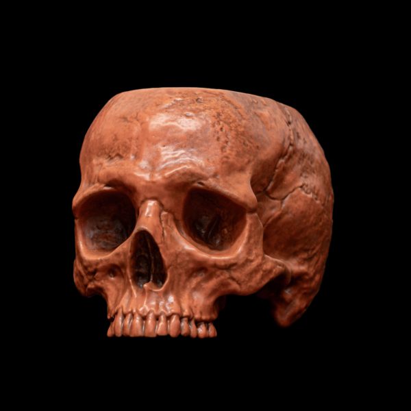 HALLOWEEN HALF SKULL BOWL