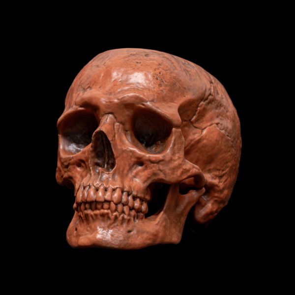HALLOWEEN SKULL BOWL