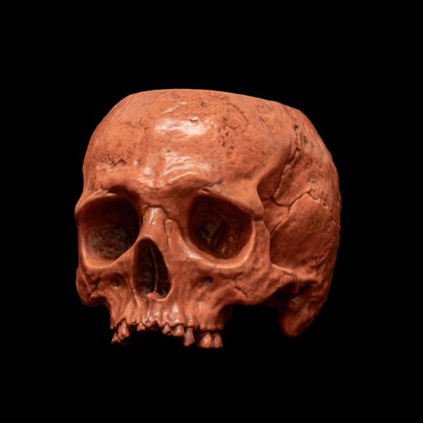 HALLOWEEN HALF SKULL BOWL - Image 3
