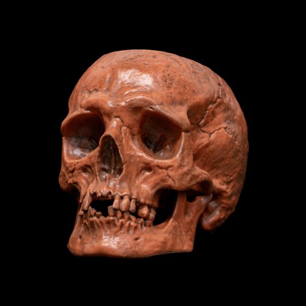 HALLOWEEN SKULL BOWL - Image 3