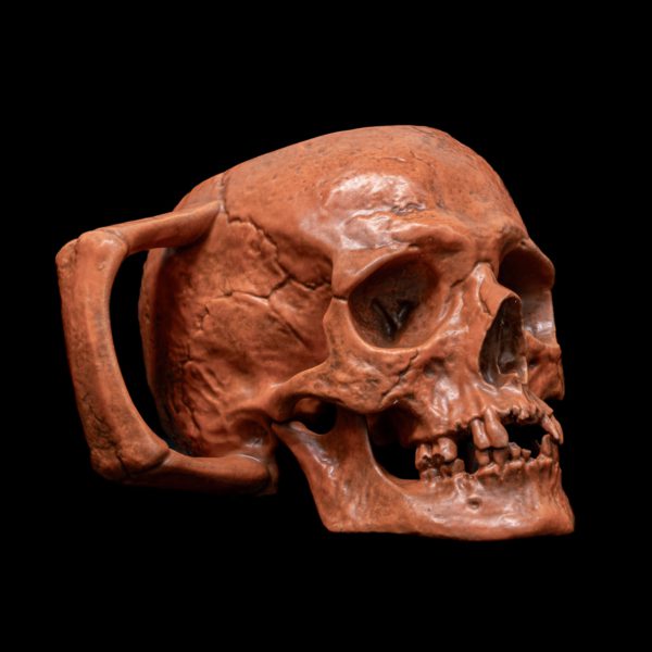 HALLOWEEN SKULL - Image 7