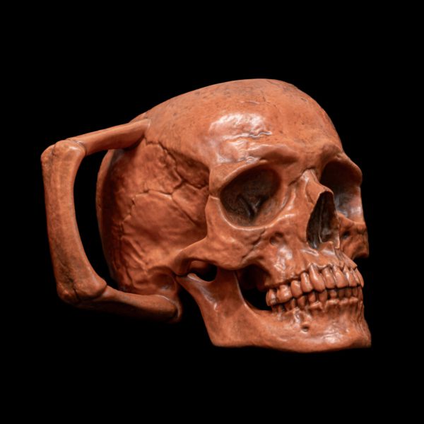 HALLOWEEN SKULL - Image 5